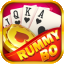 rummy wealth login icon